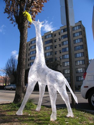giraffe made of sellotape